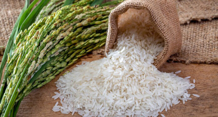 Pakistan Basmati Rice Gains as US Tariffs Hit India