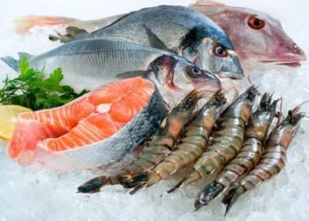 Urumqi Resumes Pakistani Seafood Imports, Exports Rise