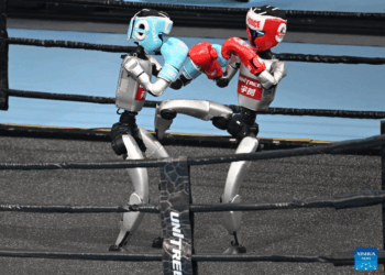 2025 World Humanoid Robot Games Begin in Beijing
