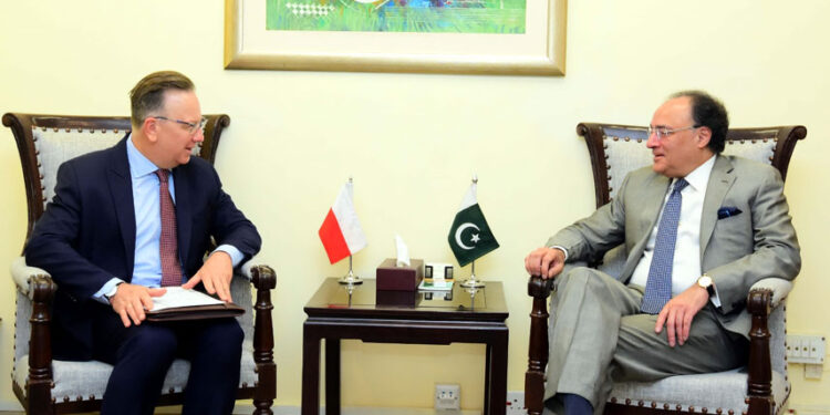 Pakistan, Poland Discuss Trade, Investment and Flood Relief