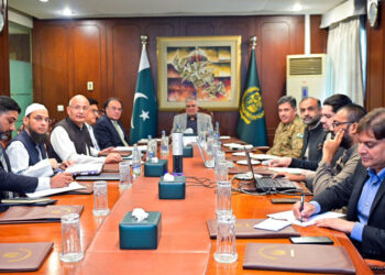Deputy PM Ishaq Dar Chairs Key Reform Meetings