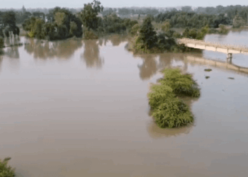 Floods in Punjab Worsen as India Warns of Sutlej Inflows
