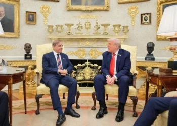Pakistan, Allies Endorse Trump Gaza Peace Plan