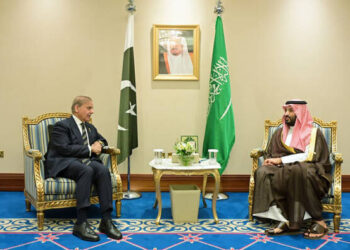 Pakistan backs Saudi ties at Arab-Islamic Summit