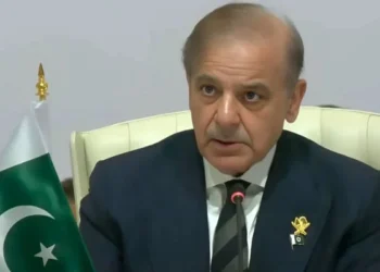 Pakistan Urges Action at Arab-Islamic Summit