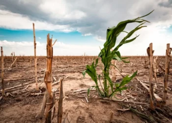 Government Declares Climate and Agriculture Emergency Plan