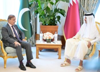 Pakistan-Qatar solidarity reaffirmed at Arab-Islamic Summit
