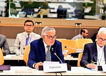 OIC Contact Groups Discuss Kashmir and Afghanistan Peace