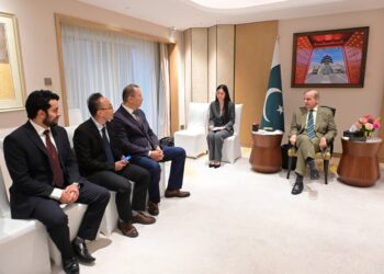 Shehbaz Invites Chinese Firms to Invest in Pakistan SEZs