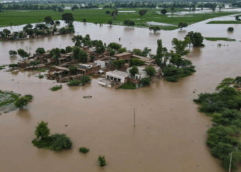 Floods Devastate Crops in Punjab, Trigger Food Crisis Fears