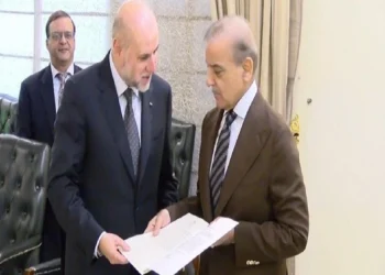 PM Shehbaz Pledges Strong Backing for Palestine