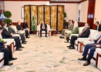 President Zardari Meets Chery Chairman in Shanghai