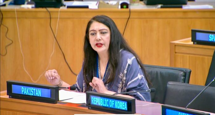 Pakistan Commits to UN on Non-Communicable Diseases