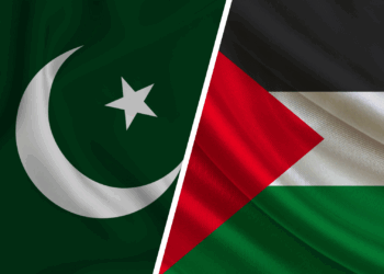 Pakistan and Palestine Sign MoU on Health Cooperation