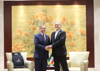 Shehbaz, Pezeshkian Review Pak-Iran Ties at SCO Summit