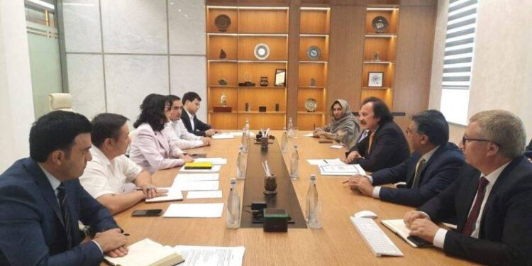 Pakistan Uzbekistan Boost Mining Industry Cooperation Ties