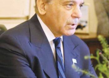 PM Shehbaz Highlights Economic Stability, Global Advocacy