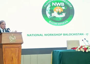 PM Shehbaz Stresses Unity, Development in Balochistan
