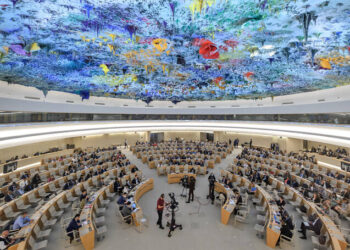 Pakistan Elected to UN Human Rights Council