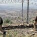 Pakistan Repels Afghan Taliban Attacks Along Border