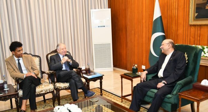 President Zardari, UN Envoy Discuss Road Safety Cooperation