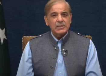 PM Shehbaz Stresses Quality Standards for Growth