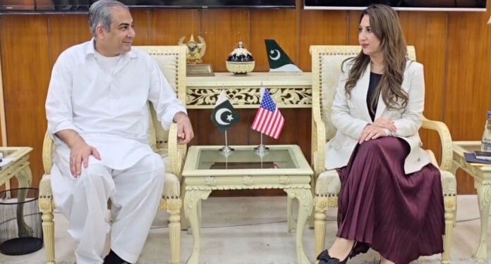 Pakistan, US Discuss Security and Investment Cooperation