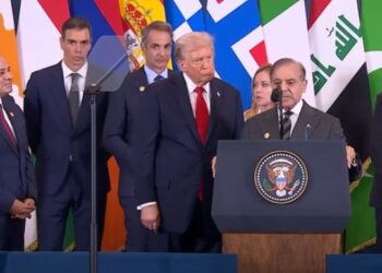 PM Shehbaz Backs Gaza Peace, Hails Trump’s Role