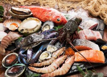 Pakistan’s Seafood Exports to China Surge 2025