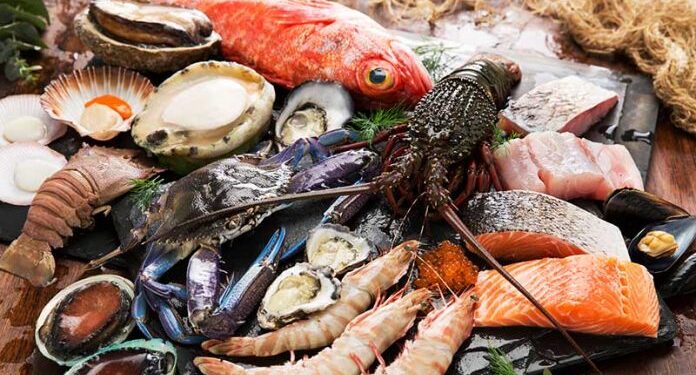 Pakistan’s Seafood Exports to China Surge 2025