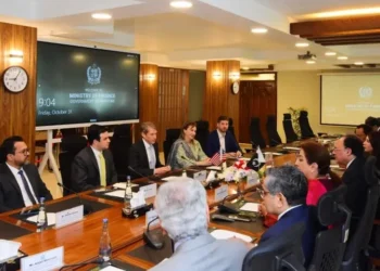 US, Pakistan Discuss Cooperation on Critical Minerals