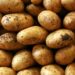Pakistan Achieves Record Potato Output Beyond Target