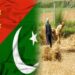 Under CPEC China-Pakistan to Launch Agri Plants