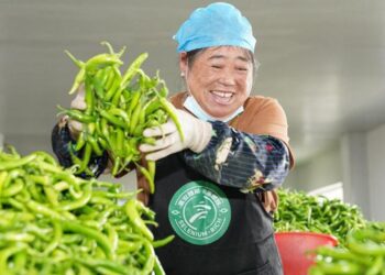 China Develops Artificial Tongue to Gauge Chili Heat