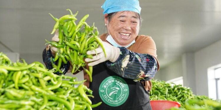 China Develops Artificial Tongue to Gauge Chili Heat