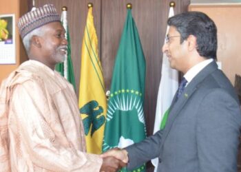Pakistan, Nigeria Forge Economic Partnership