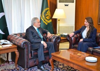 US Diplomat Meets Pakistan FM Dar