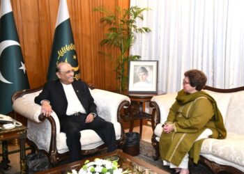 President Zardari Urges Expanded Pakistan Ireland Cooperation