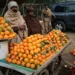 CPEC Cooperation Boosts Pakistan Citrus Industry