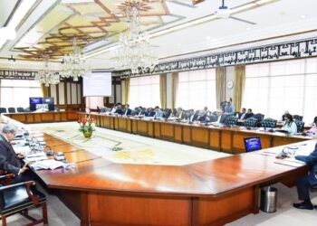 ECC Approves Funds Boost Key Sectors Pakistan