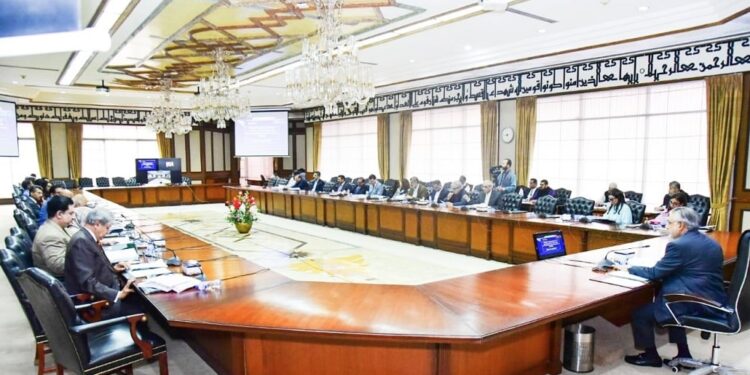 ECC Approves Funds Boost Key Sectors Pakistan
