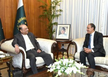 Pakistan, Egypt Boost Diplomatic Cooperation