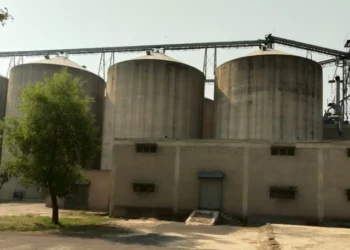 Pakistan to Launch Wheat Stock Management Company