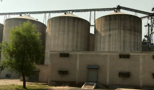 Pakistan to Launch Wheat Stock Management Company