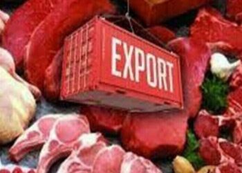 Pakistan Begins Halal Meat Exports to Tajikistan