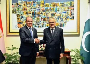 Egypt Proposes Gwadar-SCZONE Trade Link