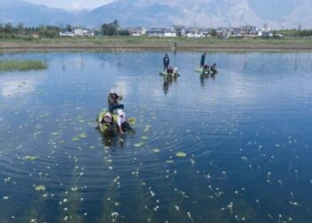 China Advances Draft Ecological Environment Code