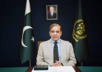 PM Shehbaz Urges Mountain Protection