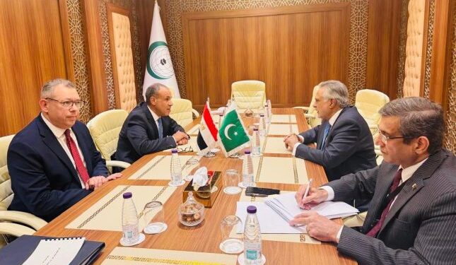 Ishaq Dar, Egyptian FM Review Bilateral Cooperation