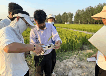 Pakistan China Introduce Smart Irrigation Against Heat